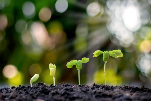 Eventleaf Growth